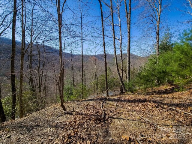 195 Smokemont Dr Unit 64, Arden, NC 28704 - photo 2