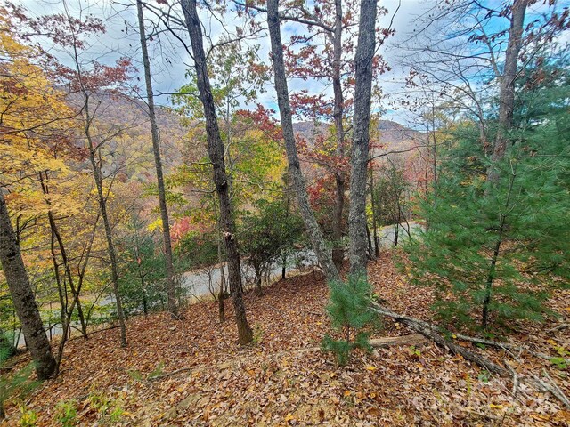 195 Smokemont Dr Unit 64, Arden, NC 28704 - photo 8