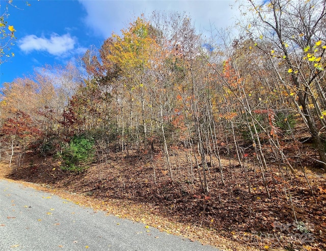 195 Smokemont Dr Unit 64, Arden, NC 28704 - photo 10