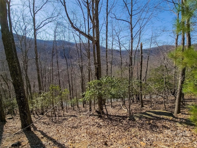 195 Smokemont Dr Unit 64, Arden, NC 28704 - photo 1