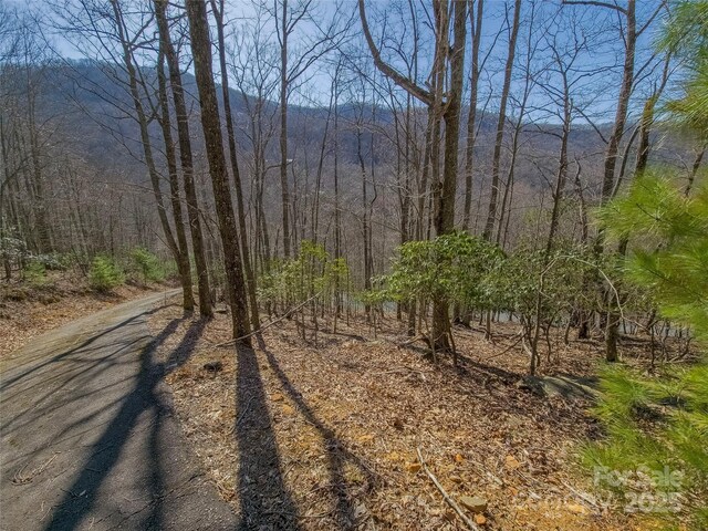 195 Smokemont Dr Unit 64, Arden, NC 28704 - photo 3
