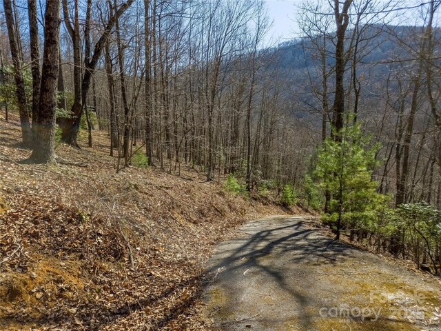 195 Smokemont Dr Unit 64, Arden, NC 28704 - photo 4