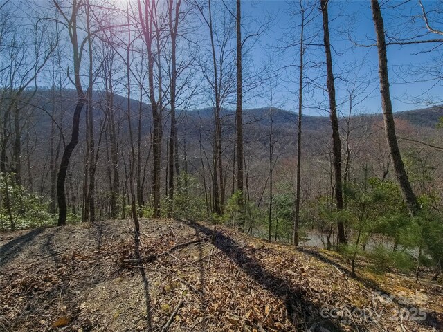 195 Smokemont Dr Unit 64, Arden, NC 28704 - photo 5