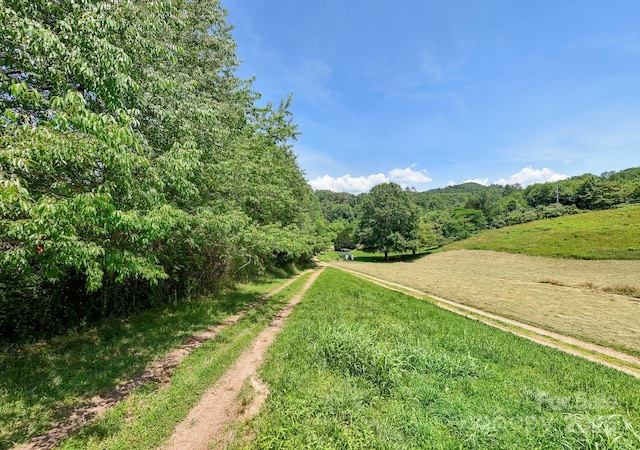 42 Leonard Davis Rd, Robbinsville, NC 28771 - view of dirt / gravel road