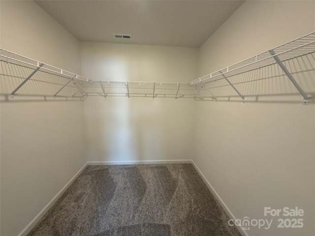 317 Maidstone Dr Unit 57, Monroe, NC 28110 - walk in closet featuring carpet