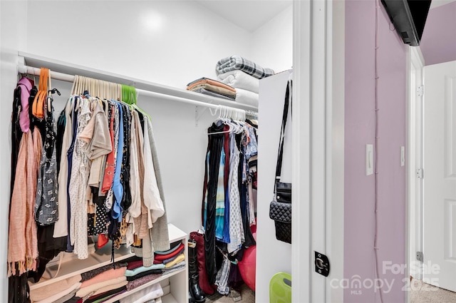 view of spacious closet