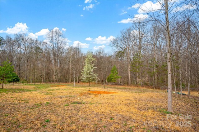 view of yard featuring a view of trees