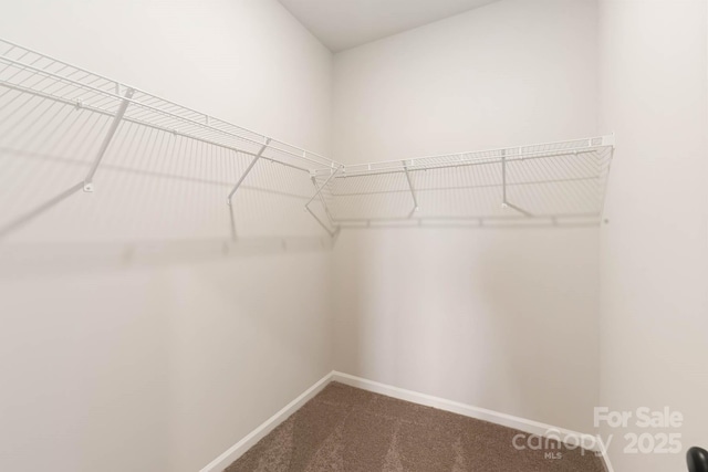 walk in closet with dark colored carpet