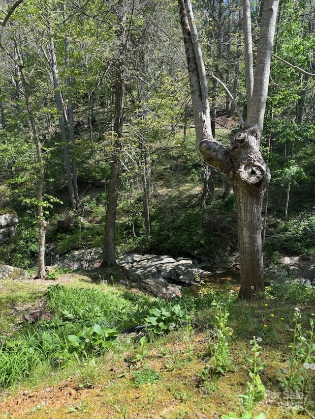 view of local wilderness with a view of trees