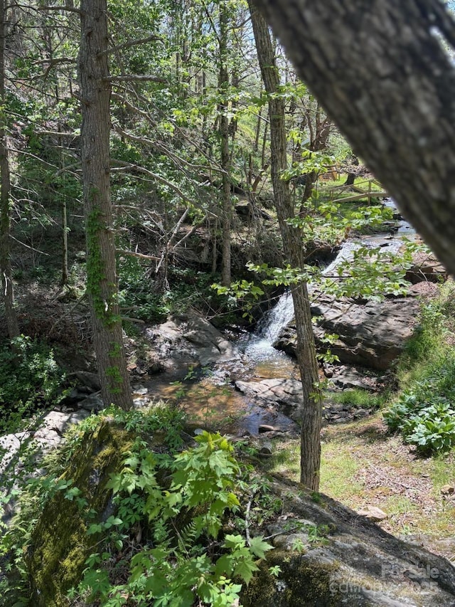 view of nature
