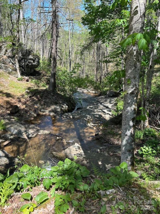 view of local wilderness