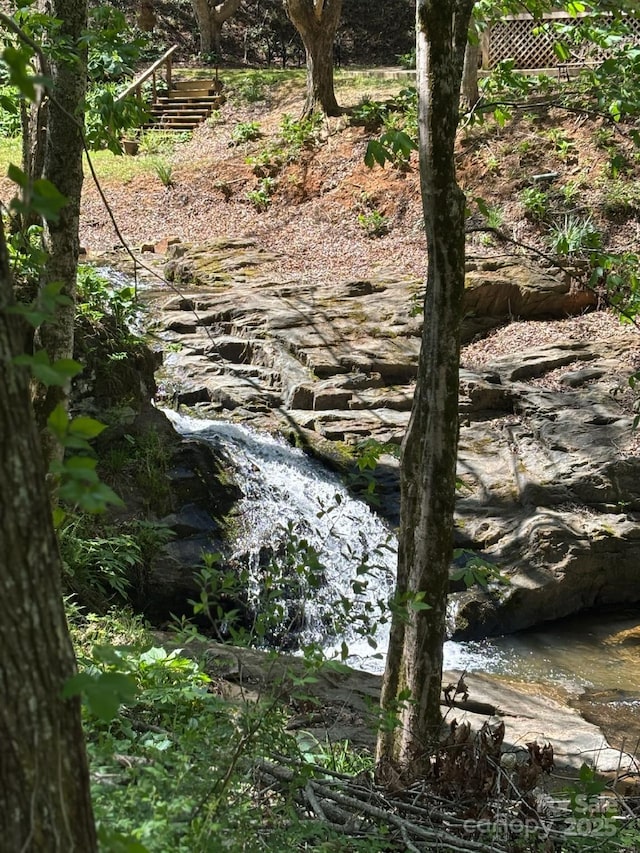 view of local wilderness