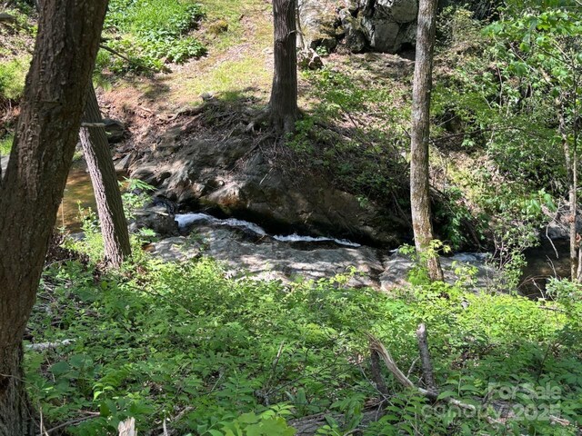 view of nature