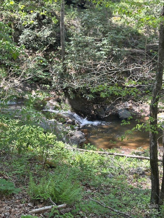 view of local wilderness