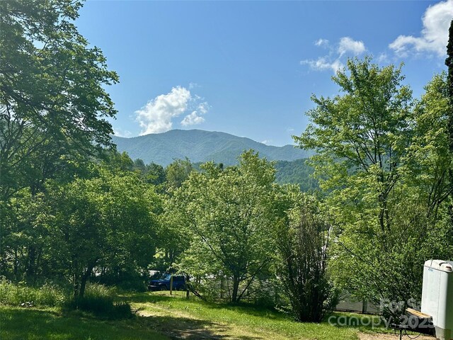 38 Buchanan Hill Rd, Bakersville, NC 28705 - photo 3