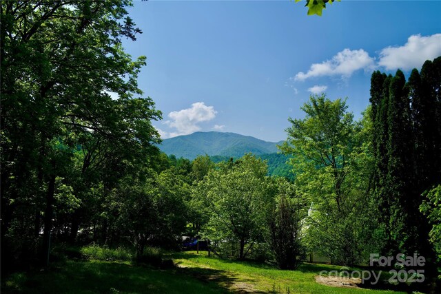 38 Buchanan Hill Rd, Bakersville, NC 28705 - photo 18