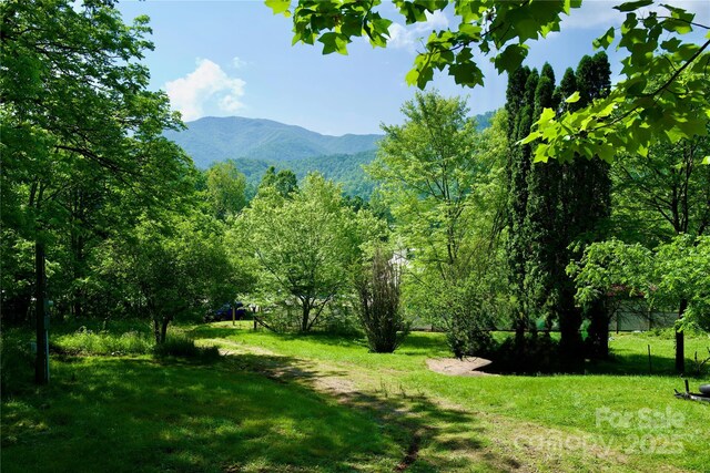 38 Buchanan Hill Rd, Bakersville, NC 28705 - photo 19