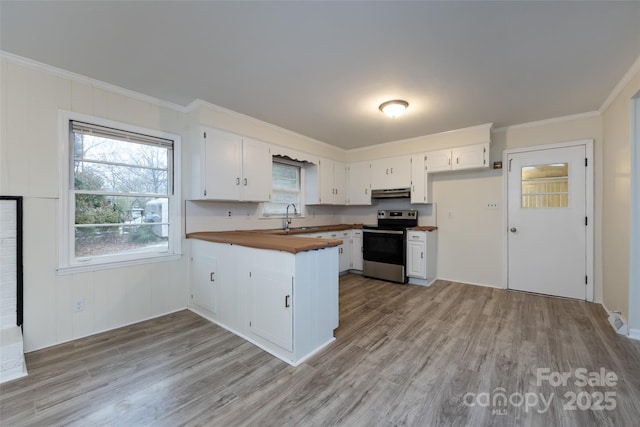 kitchen with wooden counters, under cabinet range hood, a peninsula, electric stove, and a sink