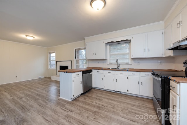 kitchen featuring a sink, stainless steel dishwasher, butcher block countertops, and black electric range oven
