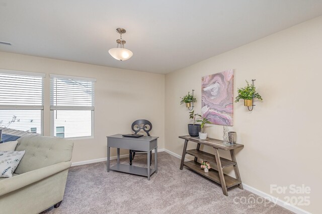 1512 Brooksland Pl, Waxhaw, NC 28173 - home office featuring baseboards and light carpet