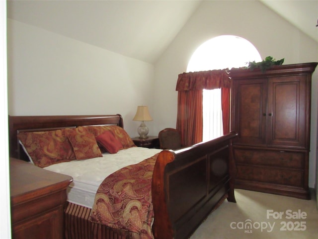 bedroom featuring vaulted ceiling