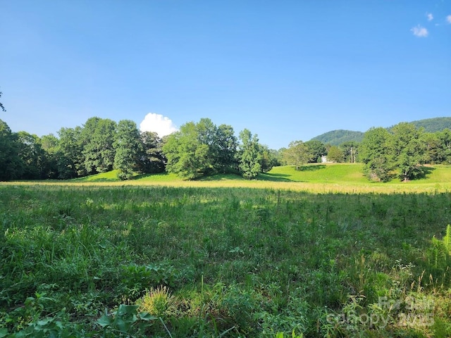 208 Cherry Mountain Rd, Bostic, NC 28018 - view of undeveloped land with rural landscape and a mountain backdrop