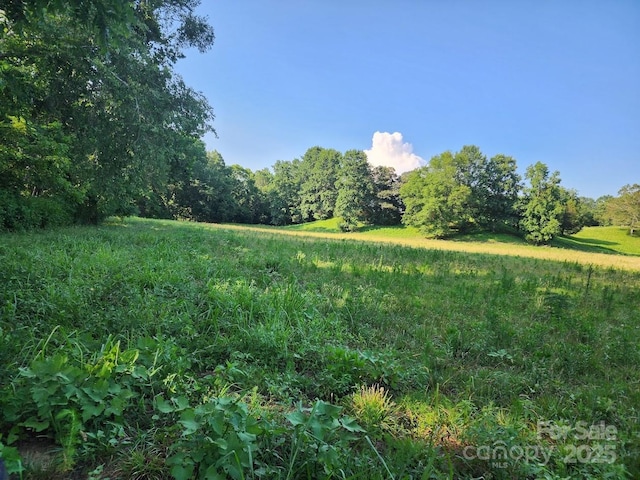 208 Cherry Mountain Rd, Bostic, NC 28018 - view of undeveloped land
