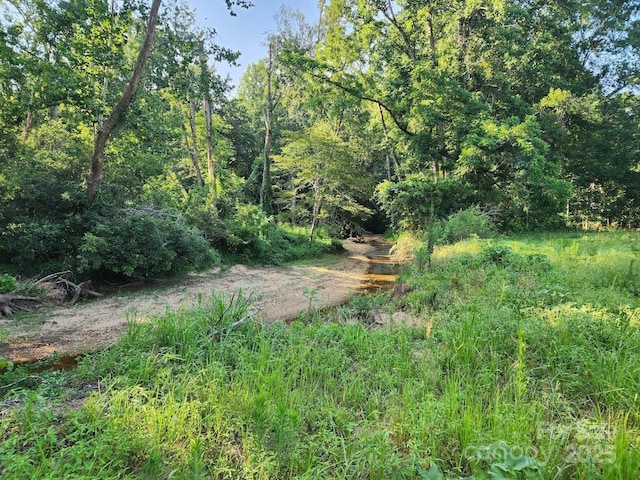 208 Cherry Mountain Rd, Bostic, NC 28018 - view of tree filled area