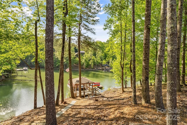 1289 Northview Dr, Morganton, NC 28655 - view of water feature with a floating dock