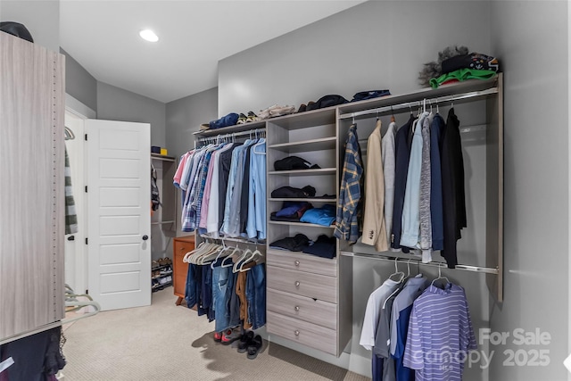 1289 Northview Dr, Morganton, NC 28655 - spacious closet with carpet floors