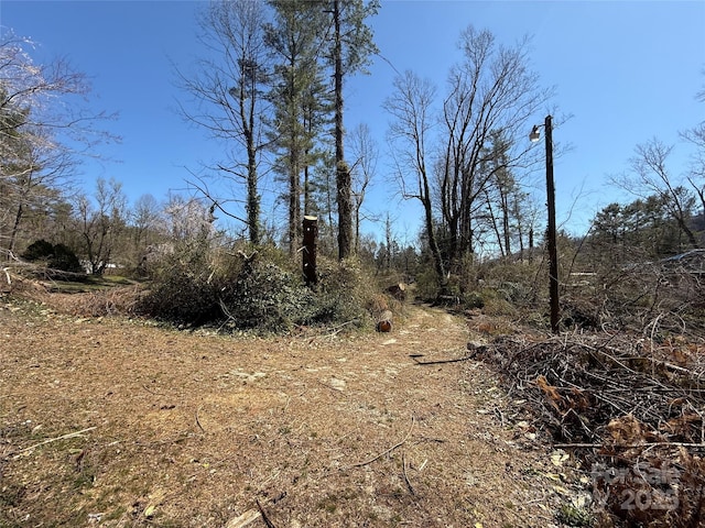 708 Miami Ter, Hendersonville, NC 28791 - photo 25