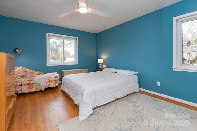 3 Quail Cove Rd, Asheville, NC 28804 - photo 12