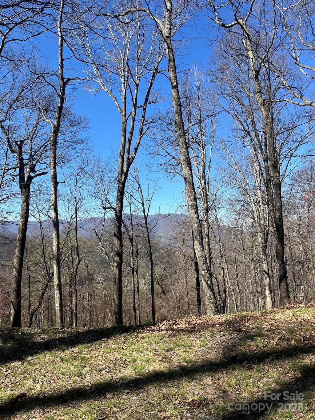 000 Weatherwatch Ln, Waynesville, NC 28786 - photo 1