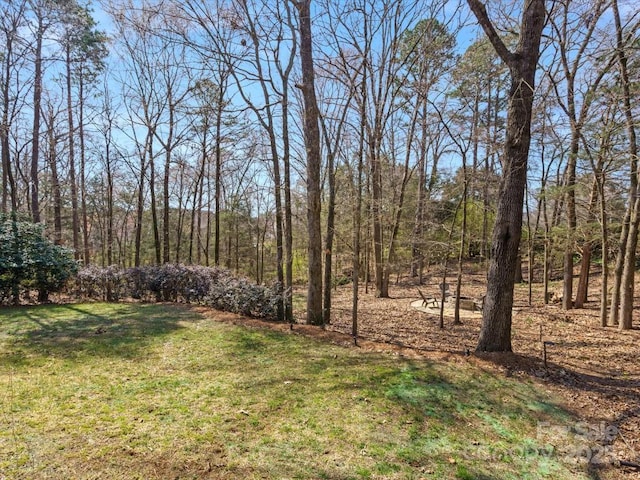 604 Wisteria Walk Way, Fort Mill, SC 29715 - view of grassy yard