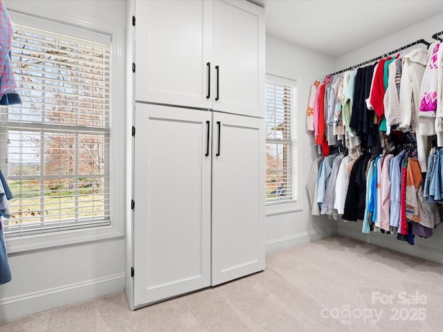 604 Wisteria Walk Way, Fort Mill, SC 29715 - walk in closet featuring light carpet