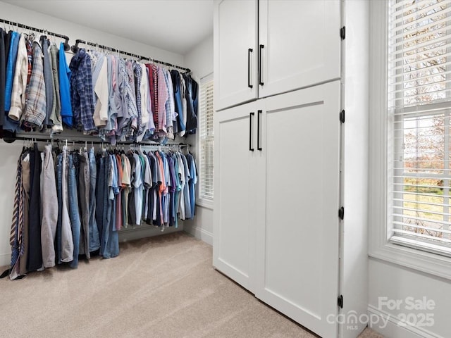 604 Wisteria Walk Way, Fort Mill, SC 29715 - walk in closet featuring light colored carpet