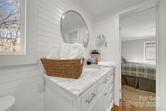 bathroom with wood finished floors and vanity