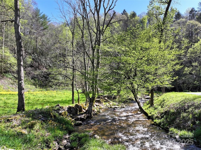 view of local wilderness featuring a wooded view