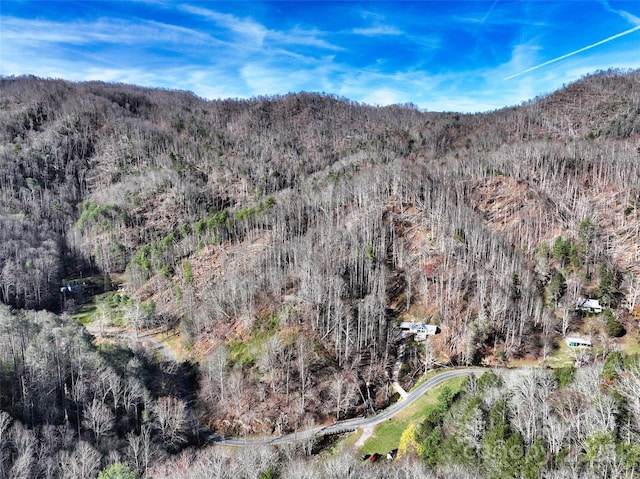 property view of mountains with a wooded view