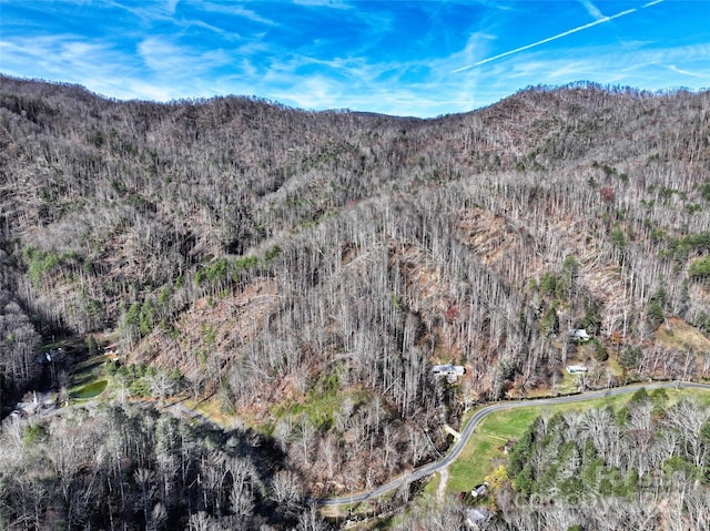 property view of mountains featuring a wooded view
