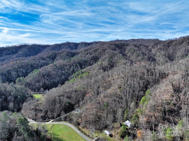 property view of mountains featuring a forest view