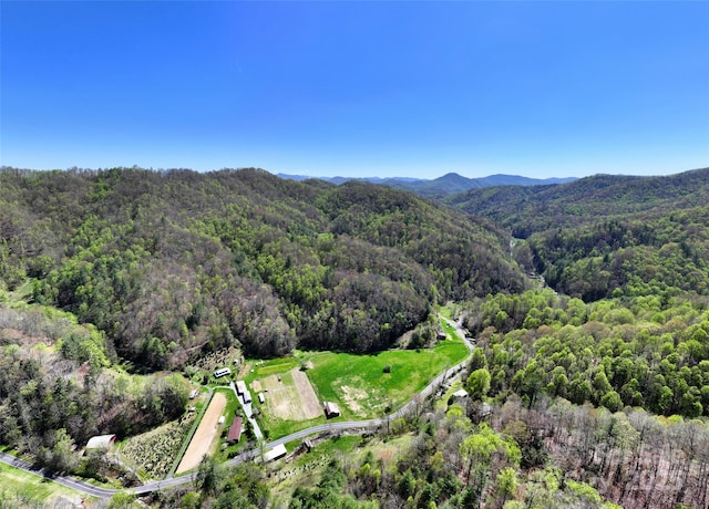 drone / aerial view featuring a mountain view and a forest view