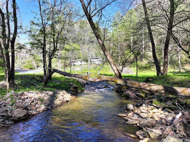 water view featuring a view of trees