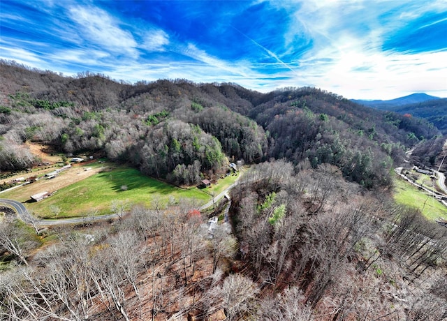 property view of mountains featuring a wooded view