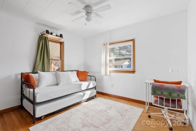 22 Jarrett St, Asheville, NC 28806 - photo 15