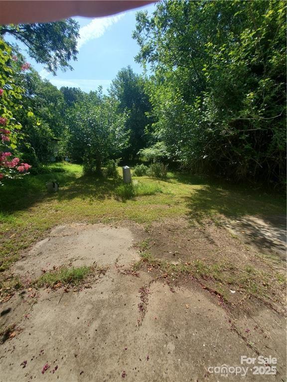 411 Mint St, Rock Hill, SC 29730 - photo 2