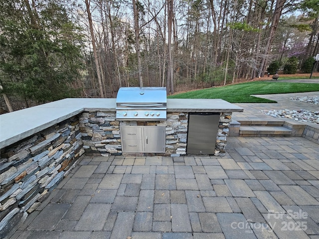 1832 Marthas Vineyard Rd, York, SC 29745 - view of patio with grilling area and an outdoor kitchen