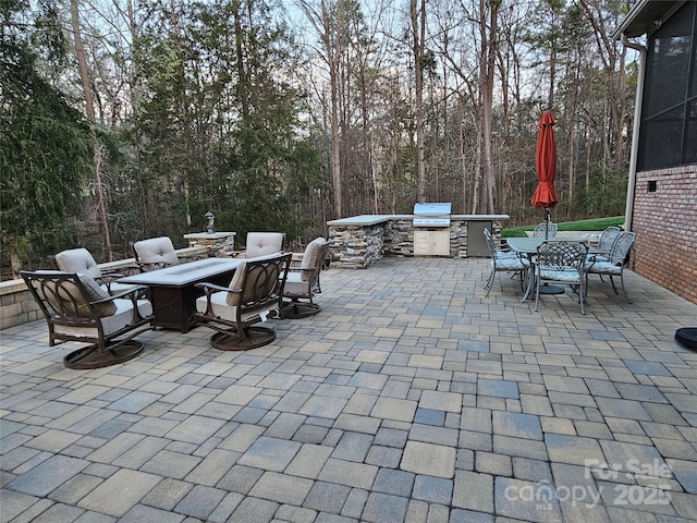 1832 Marthas Vineyard Rd, York, SC 29745 - view of patio with area for grilling, exterior kitchen, a fire pit, and outdoor dining space