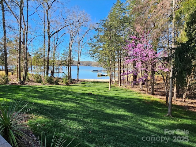 1832 Marthas Vineyard Rd, York, SC 29745 - exterior space featuring a lawn and a water view