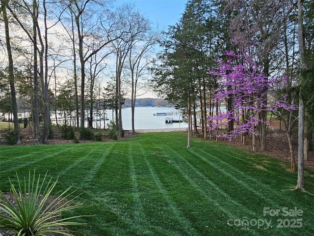 1832 Marthas Vineyard Rd, York, SC 29745 - view of yard featuring a water view